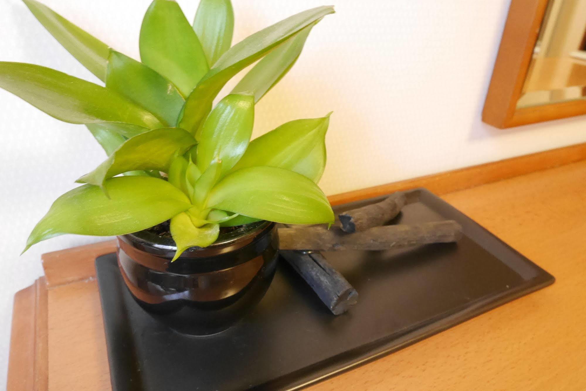 Hotel Yokohama Garden Kültér fotó